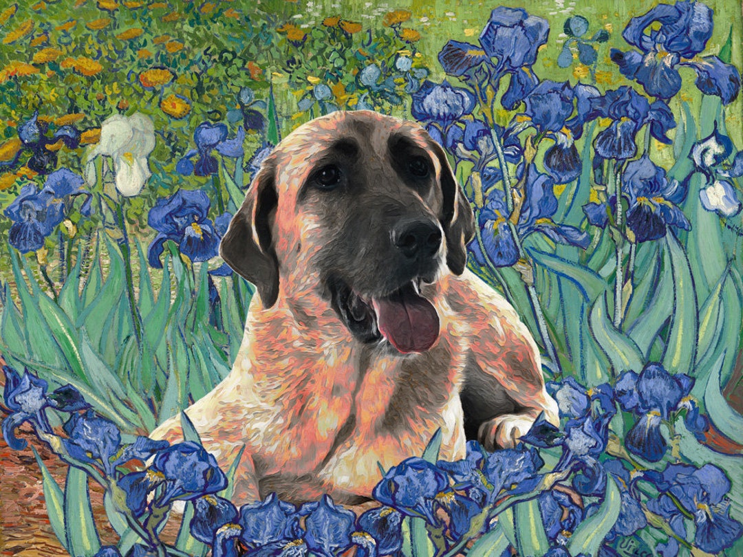 Anatolian Shepherd Kangal Dog Art Irises Van Gogh Dog Mom Dad Etsy