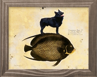 Schipperke dog riding angelfish Art Vintage Print Ad (CANVAS Print, Fine Art Print, Mug, Pillow, Tote Bag) Gifts for Dog Mom & Dad