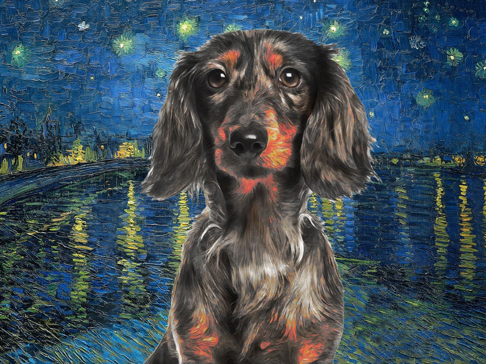 Dapple Long-haired Dachshund Art CANVAS Starry Night Van Gogh Merle Doxie  Wiener Dog Print and Mug Personalized Dog Portrait Mom & Dad Gifts - Etsy