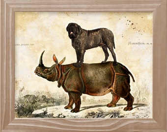 Mastín inglés atigrado sobre rinoceronte - Estampado vintage - Regalos para mamás y papás de perros - Lienzo, arte fino, taza, almohada, bolso