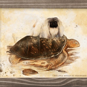 Pekingese Pekingese dog riding sea turtle Art Vintage Print Ad (CANVAS Print, Fine Art Print, Mug, Pillow, Tote Bag) Dog Mom & Dad gifts