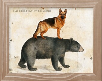 Vintage German Shepherd on Black Bear Print: Dog Lover Gift