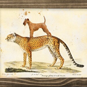 Impression d'art vintage Terrier irlandais chevauchant un guépard : cadeau pour amoureux des chiens