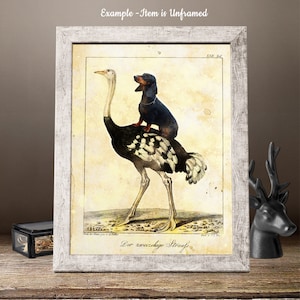 Schwarzer Dackel auf Strauß Vintage Druck - Canvas Fine Art - Tasse Kissen Tragetasche - Dackel Hunde Geschenke