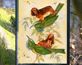 Long-haired Dachshund Hummingbird Art Print: Whimsical Wiener Dog Gift