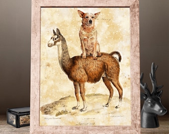 Red Heeler and Llama Dog Art Print - Australian Cattle Dog Gift from Nobility Dogs
