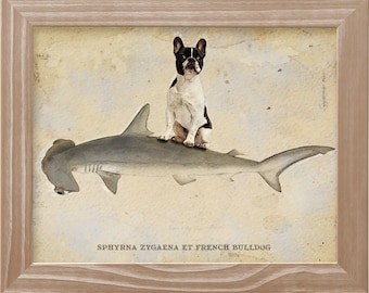French Bulldog Riding Shark Art Print: Whimsical Dog Lover Gift