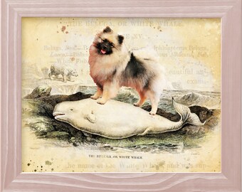 Keeshond Dog riding whale beluga, Wolfspitz Gifts, Vintage Dog Art Print by Nobility Dogs