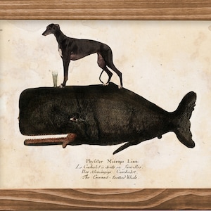 Vintage Greyhound Riding Sperm Whale Art - Canvas Print Mug Pillow and Tote Bag for Dog Mom and Dad Gifts