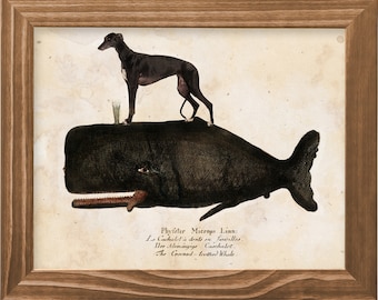 Vintage Greyhound Riding Sperm Whale Art - Canvas Print Mug Pillow and Tote Bag for Dog Mom and Dad Gifts