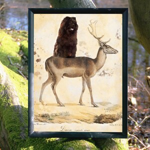 Black Chow Chow Riding Deer Vintage Dog Print - Perfect Gift for Dog-Loving Mom  Dad