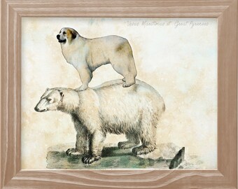 Great Pyrenees Pyrenean Mountain Dog riding polar bear Art Vintage Print Ad (CANVAS Print, Fine Art Print, Mug, Pillow, Tote Bag) Gifts