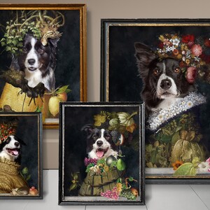 Border Collie Kunst, Collie Hundegeschenke, vier Jahreszeiten, Winter, Frühling, Sommer, Herbst, Arcimboldo, Renaissance Hundegeschenke