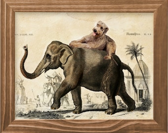 Irish Wolfhound Riding Elephant, Vintage Dog Art Print