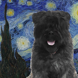 Bouvier des Flandres Art CANVAS Sterrennacht Aangepaste print Vlaamse Veedrijst Gepersonaliseerde hondenportret Mom & Dad geschenken