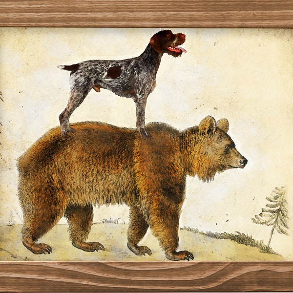 Vintage German Wirehaired Pointer on Bear - Dog Art Print Canvas Mug Pillow Tote Bag - Gifts for Dog Moms and Dads - GWP Dog Riding Bear Art