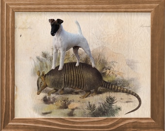 Impression d'art vintage Fox Terrier lisse chevauchant un tatou : cadeau pour amoureux des chiens