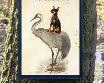 Lámina artística de Pinscher miniatura: Perro vintage montando una grúa