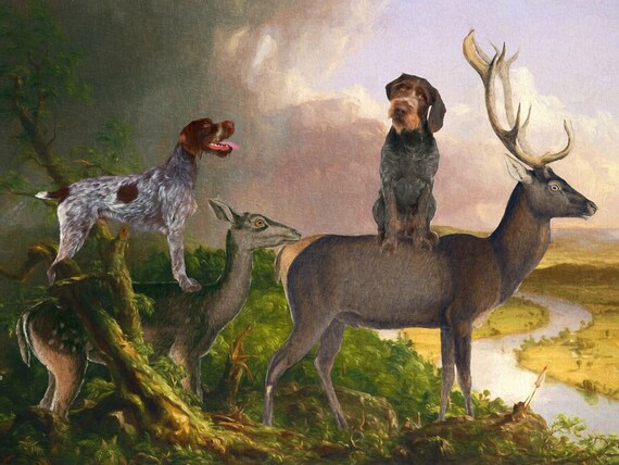 German wirehaired sale pointer gifts