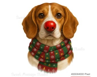 Rudolph Beagle Weihnachten PNG |  Hund mit roter Nase & festlichem Schal Clipart für Sublimationskarten