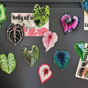 Peut inclure: Un ensemble d'aimants en forme de feuilles de différentes couleurs et motifs, dont le vert, le rose et le bleu. Certains aimants ont une finition brillante et sont fixés sur une surface gris foncé. Les aimants ont la forme de différents types de feuilles.