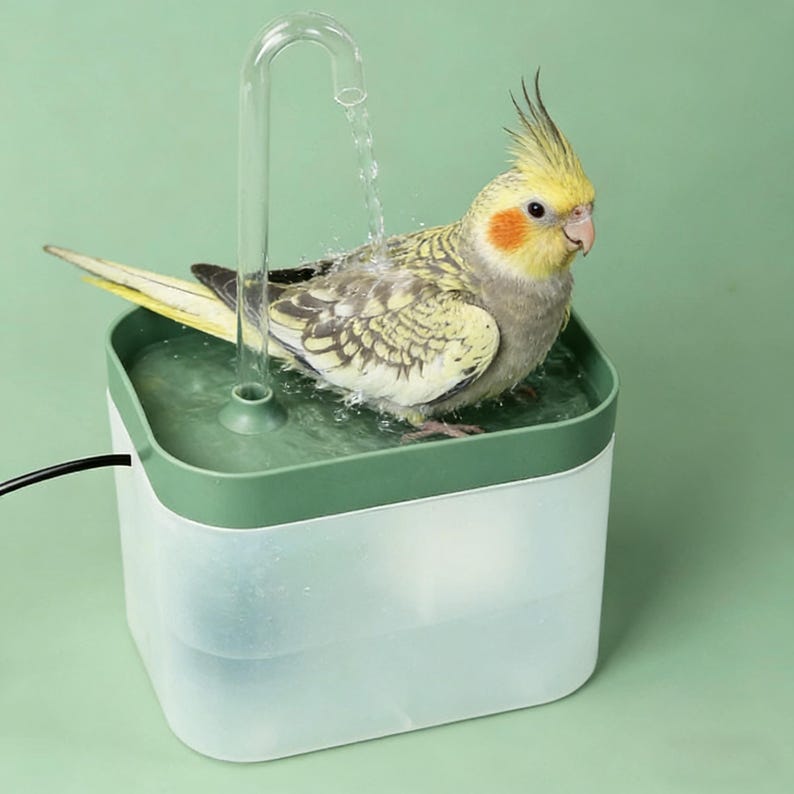 May include: A cockatiel bird perched on a green and white pet water fountain. The bird has yellow and gray feathers with an orange cheek patch. A clear, curved spout dispenses water into the fountain, creating a refreshing environment for the bird.