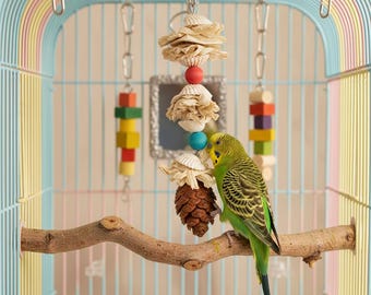 Giocattolo naturale per uccelli da foraggiamento con osso di seppia e rattan, giocattolo da masticare con il becco del pappagallo per calopsitte, conuri, parrocchetti, accessorio fatto a mano per gabbia per uccelli