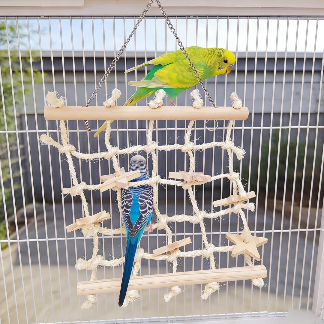 Parrot Net Parrot Climbing Net Swing for Cockatiel, Conure, Budgie & Lovebird - Etsy