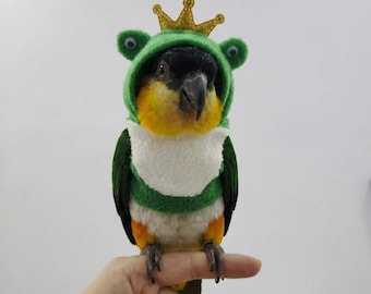 Felpa con cappuccio a forma di rana, maglione caldo per pappagallo, calopsitta, vestito per San Patrizio, graziosi vestiti invernali per uccelli, costume da rana verde