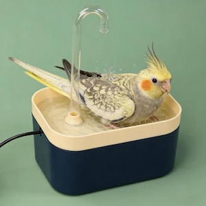 May include: A cockatiel bird taking a bath in a blue and beige bird bath. The bird bath has a clear, curved water fountain. The bird has yellow and gray feathers with an orange cheek patch. The background is a solid green color.