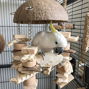 Puede incluir: Un loro cacatúa blanco posado en un juguete colgante para pájaros hecho de madera, cuerda y cáscara de coco. El pájaro está comiendo un trozo del juguete. Las barras de la jaula son visibles en el fondo.