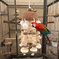 Large Coconut & Loofah Parrot Toy: Natural Wood Chew for African Grey, Amazon, Conure
