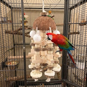 May include: A red, blue, and green macaw parrot perches on a wooden bird toy inside a black metal cage. The toy features a coconut shell, wooden blocks, and white balls. A food bowl and water bottle are also visible.