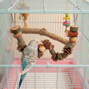 Puede incluir: Un periquito azul y gris posado en un columpio de madera natural dentro de una jaula azul claro. El columpio está hecho de rodajas de madera, piñas y otros materiales naturales. También se ven una rama y otros juguetes.