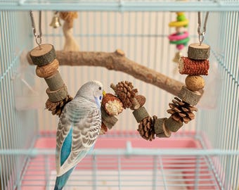 Puede incluir: Un periquito azul y gris posado en un columpio de madera natural dentro de una jaula azul claro. El columpio está hecho de rodajas de madera, piñas y otros materiales naturales. También se ven una rama y otros juguetes.