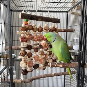 Puede incluir: Un loro verde posado en una percha de madera dentro de una jaula negra, con un juguete para pájaros hecho de madera, nueces y maíz colgando de arriba.