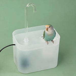 May include: A clear plastic pet water fountain with a curved spout and a small, colorful bird perched on top. The bird has blue, green, and yellow feathers. The fountain has a black power cord and sits against a green background.