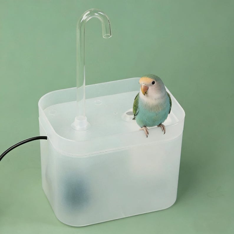 May include: A clear plastic pet water fountain with a curved spout and a small, colorful bird perched on top. The bird has blue, green, and yellow feathers. The fountain has a black power cord and sits against a green background.