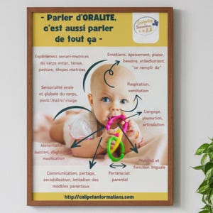 May include: A framed poster featuring a baby with a teething toy, and French text. The poster's title is "- Parler d'ORALITE, c'est aussi parler de tout ça -" with related terms and arrows pointing to the baby, in a brown frame.