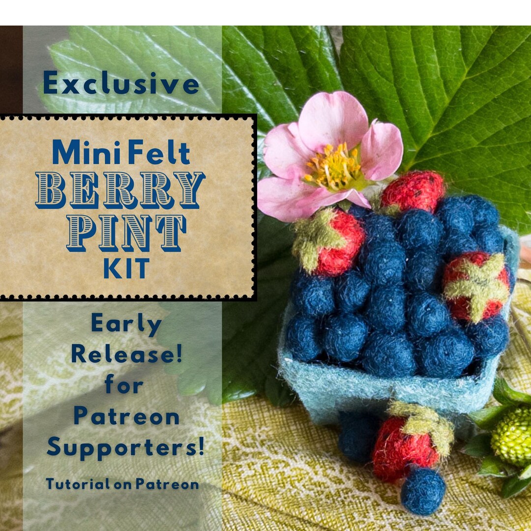 Berry Pint Kit - Etsy