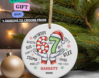 67 Ornament - Funny Kids Christmas 6 7 Ornament - Six Seven Ornament, 2025 Slang Christmas, Funny Teen Gen Alpha Christmas Gift - 67 Gift