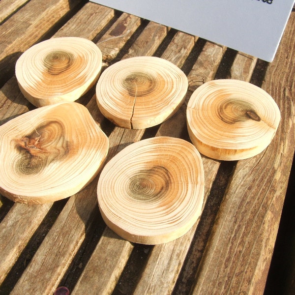 Scots Pine Pendant Blanks for pyrography, drawing and painting on