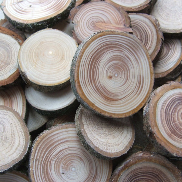 Wood Slices 100 Mixed Wooden Tree Branch Rounds or Discs. 1 Inch to 1 1/2 inch Button and Bead blanks. Supplies.