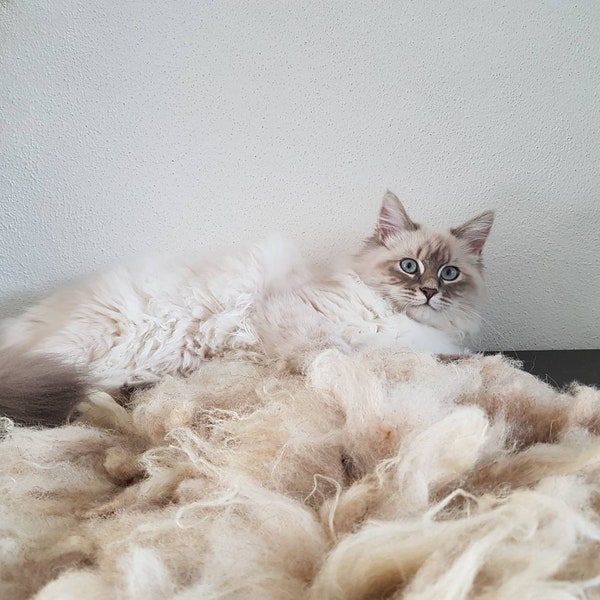 Leather Cat Bed Etsy