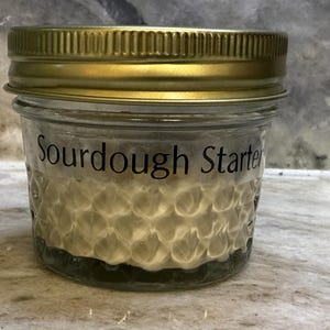 Live Sourdough Starter