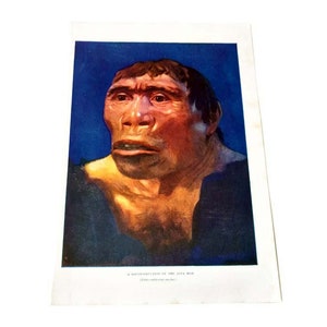 May include: A close-up portrait of a reconstruction of the 'Java Man', a prehistoric human ancestor. The image is a painting with a blue background and shows the man's face and upper torso.