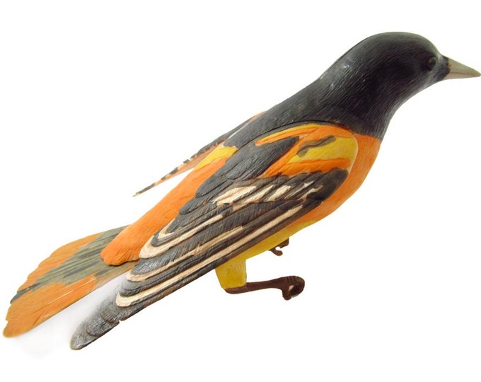 Birds of the World Model Kit Oriole Bird Plastic Model Bachman