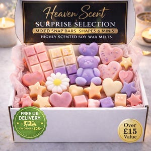 Discovery Wax Melt Bundle | Surprise Selection Wax Melts | Highly Scented Long Lasting Soy Wax Melts | Vegan Wax Melts Snap bar
