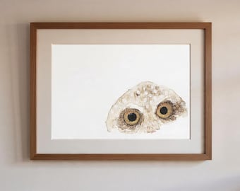 Puede incluir: Pintura de acuarela enmarcada de la cara de un búho, con dos grandes ojos redondos de color marrón dorado con pupilas negras. Las plumas del búho están representadas en tonos beige y marrón. La obra está enmarcada en un marco de madera marrón claro.