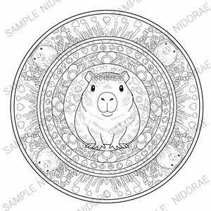 Paquete de mandalas de animales Kawaii adorables: temas de bosque y océano: 25 páginas para colorear imprimibles + 3 adicionales. imagen 3